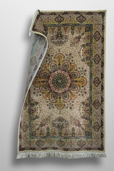 Ivory Central Medallion Silk Rug — 4